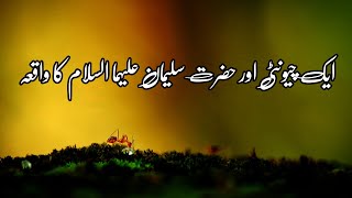 Aek Cheunti Aour Hazrat Sulaimanؑ. Ka Qissah ||ایک چیونٹی 🐜 اور حضرت سلیمان علیہما السلام کا واقعہ||