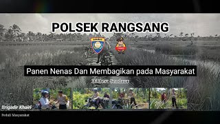 Personil Polsek Rangsang BAGI BAGIKAN NENAS!! dari hasilnpanen sendiri🍍🍍 || Brigadir Khairi