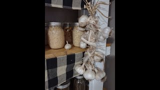 BRAIDING MY HARDNECK GARLIC