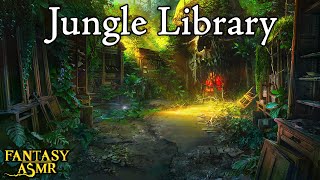 🌴 Jungle Library Ambience 📚 Ambience for studying and learning 💡