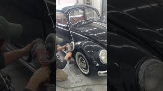 Classic 1955 Oval Window Beetle 13 yr Old Resto, For Sale! #shorts #shortsvideo #vwbeetle