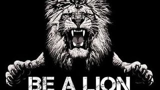 BE A LION!!!  | LION ATTITUDE | YouTube Motivational shorts | Motivational Videos