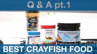 WHAT TO FEED CRAYFISH (Q & A pt.1)