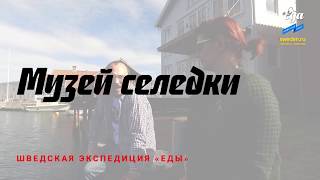 Музей селедки в Швеции // Sweden.ru