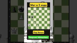 #chess #шахматы #chorts