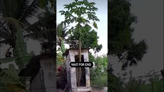 Wait For End 😂😂 #funny #funnyshorts #funnyvideo #comedy #trending #viral