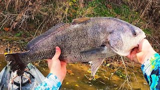 Expect the Unexpected When River Fishing - Lower Colorado River