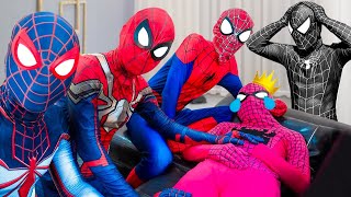 TEAM SPIDER MAN in REAL LIFE #342 | Marvel's Spider-Man 2 - NAPOLEON - AMERICAN FICTION - Tiger 3