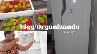 Vlogs/ LIMPEZA DA GELADEIRA +ORGANIZAÇÃO+ Higienizando  as frutas e verduras