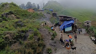 Nepali Himalayan Village Life in Rainy Day | Most Peaceful And Relaxing Rural Village in Cooking |