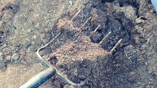 Why Is Some Compost So Bad? | Randy Ritchie