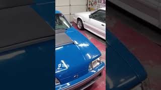 Fox Body Mania Up Here!  #automobile #foxbodymustang #diy #carmaintenance #howto #mechanic