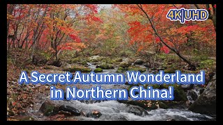 4K, A Secret Autumn Wonderland in Northern China! Benxi 本溪, 本渓, 번시