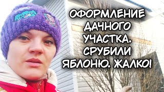 Оформление дачного участка.  Срубили яблоню. Жалко.