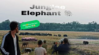 गाँव मैं हाथी आया हैं || Junglee Eliphant On Village|| Mr poor Vlog#||