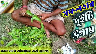 Am gacher kolom /How to graft cuttings /কলম করার দুইটি সবচেয়ে সহজ পদ্ধতি / কলম সফল হওয়ার পদ্ধতি