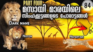 സിംഹങ്ങളുടെ പോരാട്ടങ്ങൾ 4  | Marsh Lions | Lion Coalitions of Masai Mara | Julius Manuel