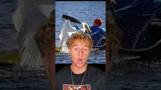 KILLER swans ATTACK and DROWN man 🦢🩸#tiktokshort #short #animals