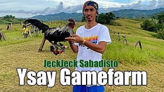 Lets Visit The Farm Of Ysay Gamefarm