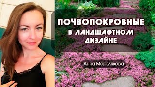 Почвопокровные в ландшафтном дизайне