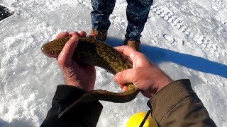 Bows and Burbot - Boysen Reservoir Ice Fishing - Central Wyoming