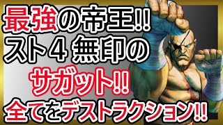 【格ゲーキャラ紹介】スト４無印のサガットを解説!!【ストリートファイターIV】