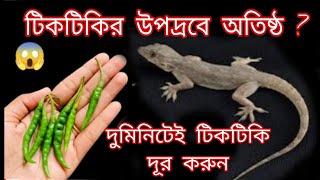 ঘরে কেনো ঘরের আশেপাশে ও একটা টিকটিকি খুজে পাওয়া যাবেনা // Tiktiki dur korar upay