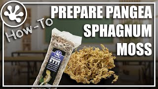 How to prepare Pangea Sphagnum Moss for your reptile habitat.