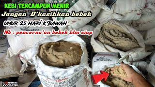 Kebi tercampur menir