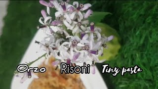 What doyou call it #Risoni, #orzo & #tinypasta #viral #shorts #youtube #shortsfeed #share #minivlog