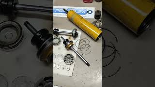 service de proSELEX a bilstein antiguo