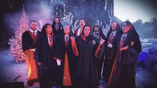 Moscow gospel team - Harry Potter, Hedwig's theme