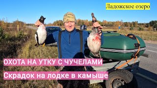 Охота на утку с чучелами на озере. Скрадок на лодке в камыше.