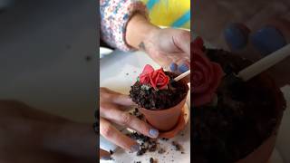 Have you seen anything cuter than our NUTELLA MOUSSE FLOWER POT! #LongIsland #Hartford #Connecticut