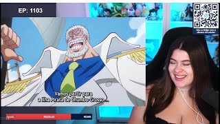 MARIANA ALPHA REAGINDO A VOLTA DE GARP | EGGHEAD| ONE PIECE EP - 1103