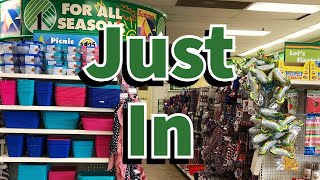 Dollar Tree 2024 | NEW Finds This Week😮😮😮