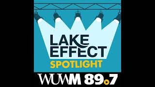 Wisconsin Democrats win crucial state Senate elections, but remain minority in Legislature