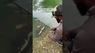 amazing Monster fishing 😱🎣 | Catching Amazon Fish in Miami 🎣 #shortsfeed #crab #shorts