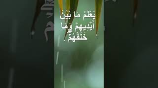 آية الكرسي للقارئ  شريف مصطفى  صوت هادئ