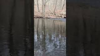 A river in 2 seconds: