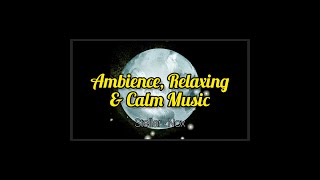 CALM YOUR MIND by Listening to this Music | Relaxing |Ambient | Cine| Peaceful | AUDIO | Stellar-Nox