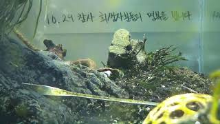 [1029참사 추모 어항방송] Aquarium Live - 2022.12.02 Fri KST