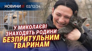 💰 Українці МАСОВО реєструються на ТИСЯЧУ | ЕНЕРГОНЕЗАЛЕЖНІСТЬ Миколаївщини | НОВА МАРКА від УКРПОШТИ