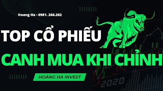 TOP CỔ PHIẾU CANH MUA KHI INDEX CHỈNH?