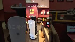 robot working as waiter in the japanese restaurant #travel #visitjapan #salindasenarath