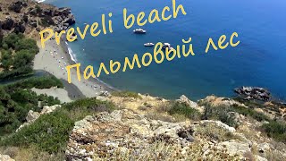 Пальмовый пляж Превели (Preveli bech).