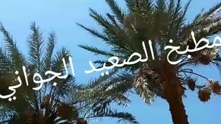 رجعنا أجواء عيد الأضحى تاني فرزنا الحمص