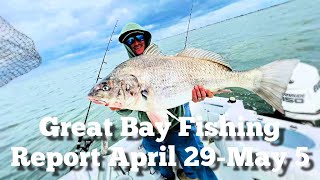 Great Bay Fishing Report April 29- May 5 (💲💲GIVEAWAY RESULTS💲💲)