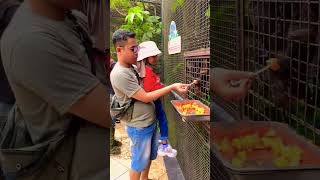 JAWA TIMUR PARK 2|| EDUKASI ANAK #zoo #jatimpark2 #shorts