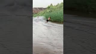 Skim bordering behind atv gone wrong. Kid eats poop. Crazy fail. Water ranger gets called. 🫡🤣😳